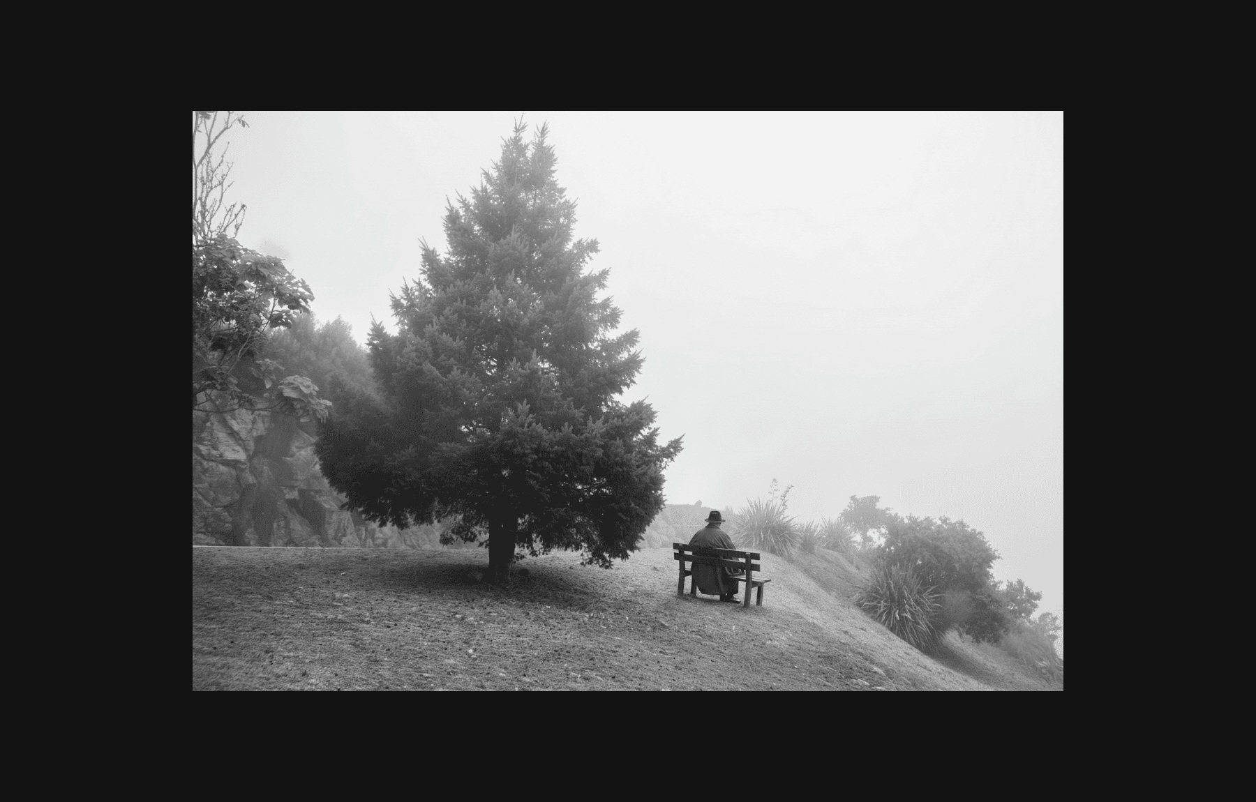 Solitary figure in mist